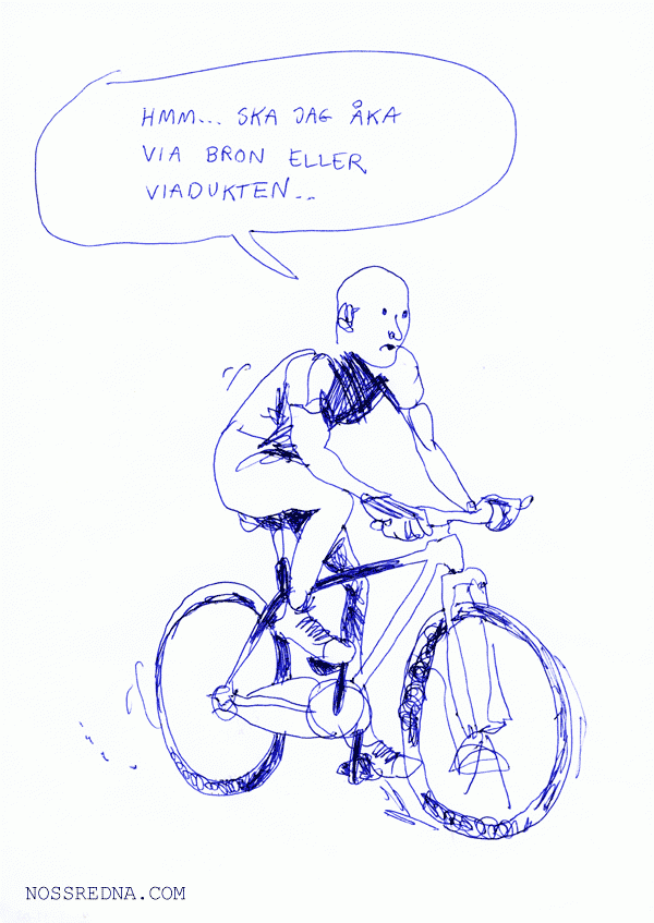 Hmm... Ska jag åka via bron eller viadukten..
